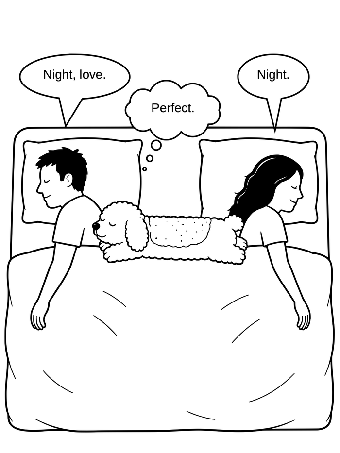 Cartoon of Coco stretched sideways across the bed between Bryan and Ceri
