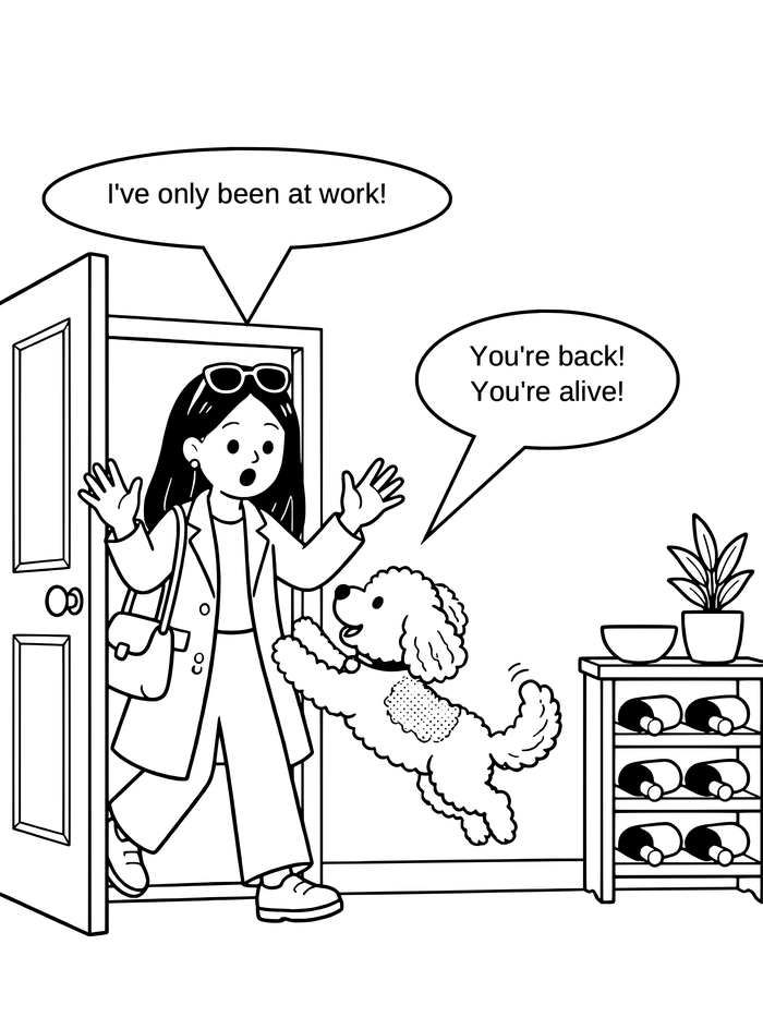 Cartoon of Coco leaping up to greet Ceri as she comes through the front door